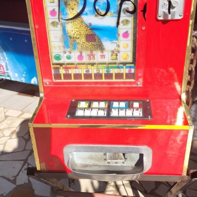 20220617 1404490 scaled