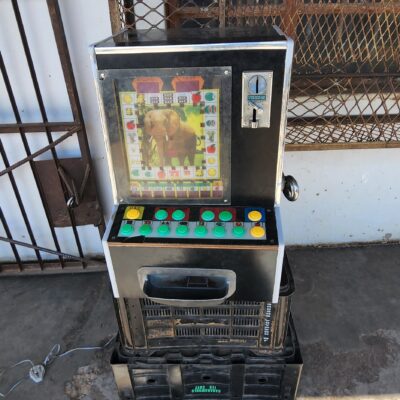 20220812 121700 scaled